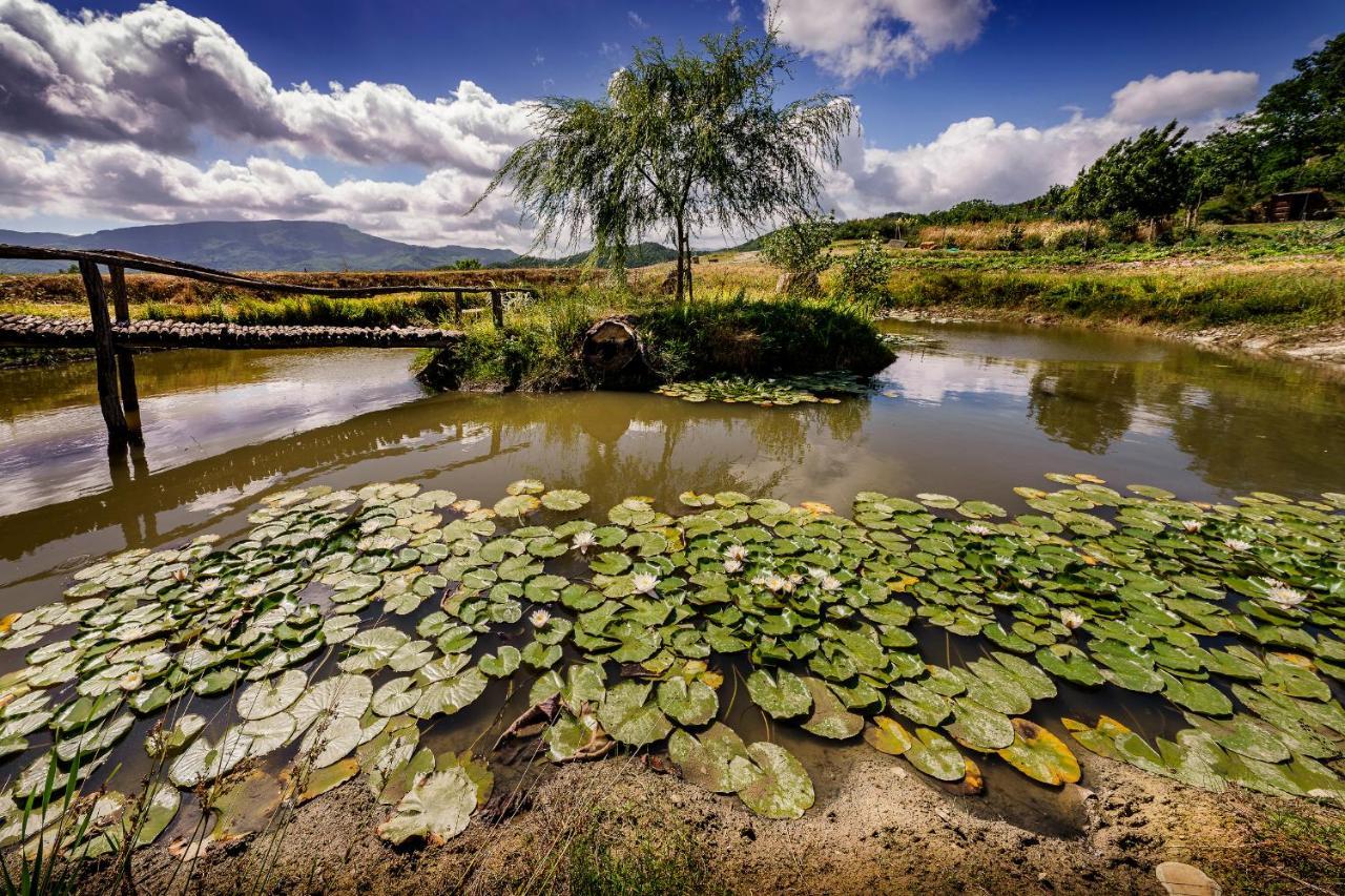 Agriturismo Biologico Autosufficienza バーニョ・ディ・ロマーニャ エクステリア 写真