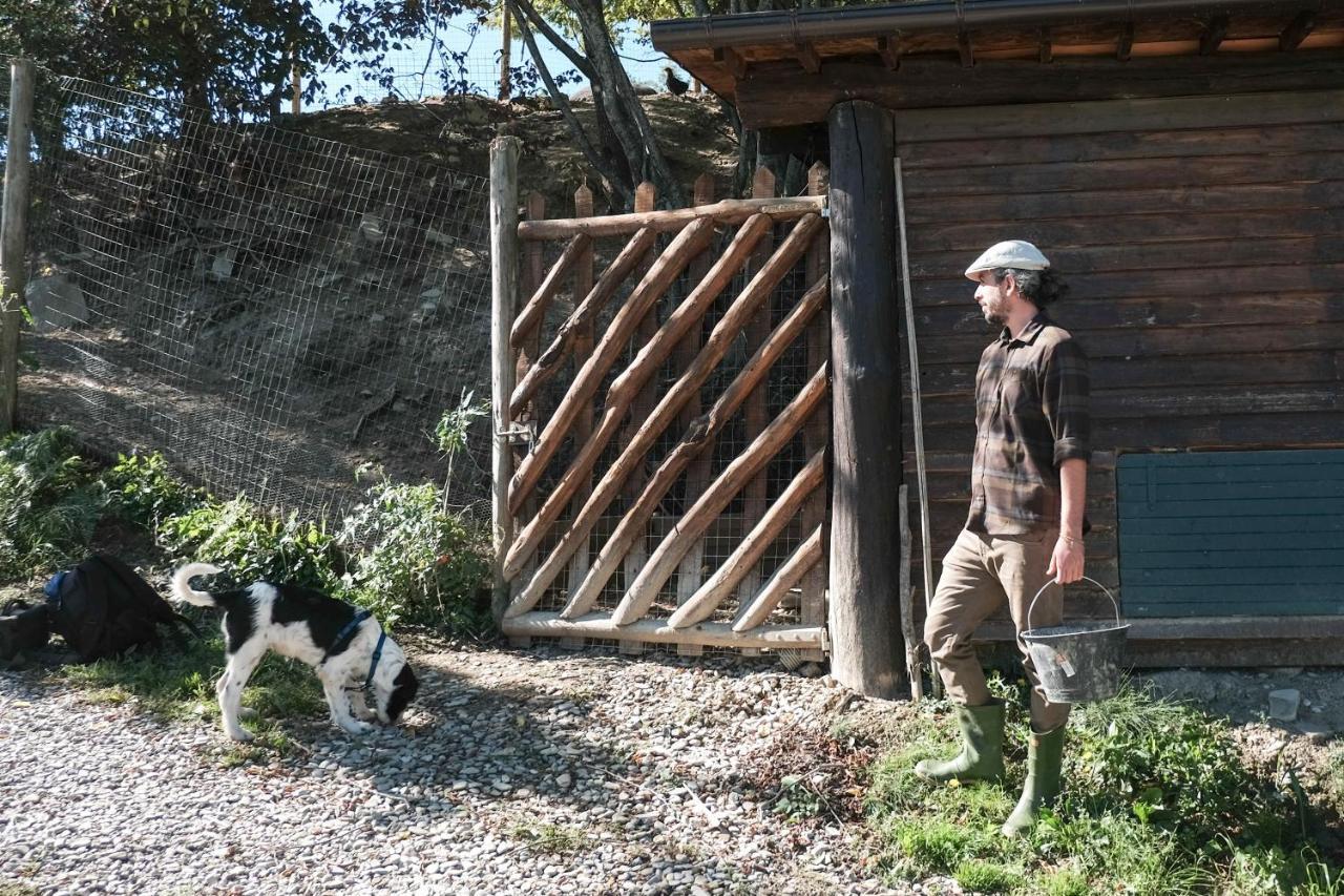 Agriturismo Biologico Autosufficienza バーニョ・ディ・ロマーニャ エクステリア 写真
