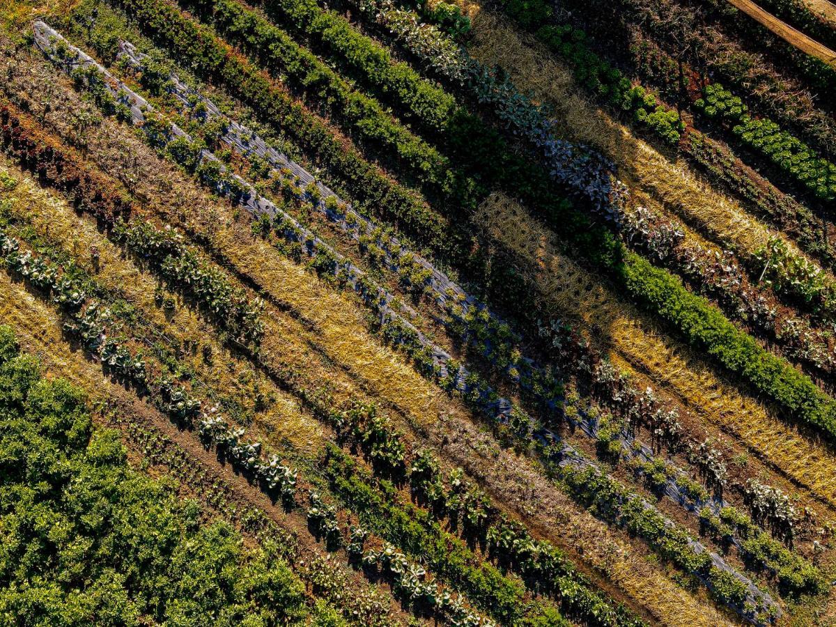 Agriturismo Biologico Autosufficienza バーニョ・ディ・ロマーニャ エクステリア 写真